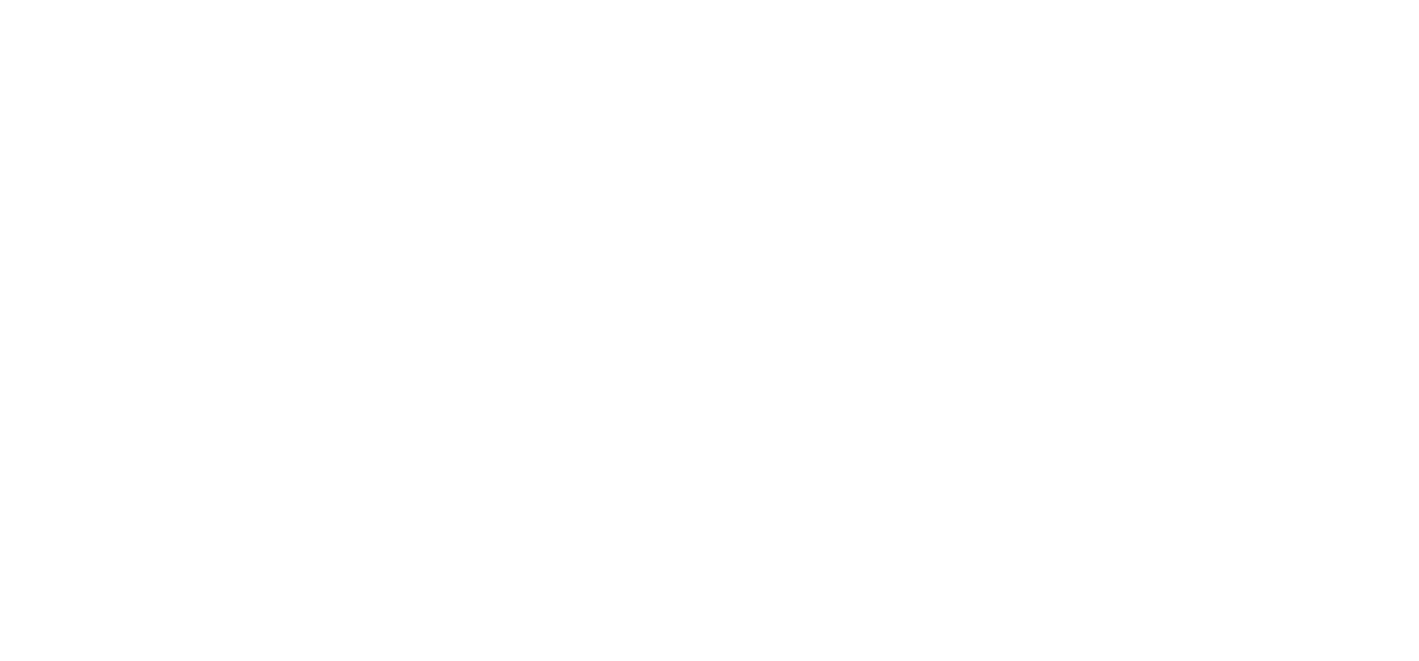 MVM Delivery